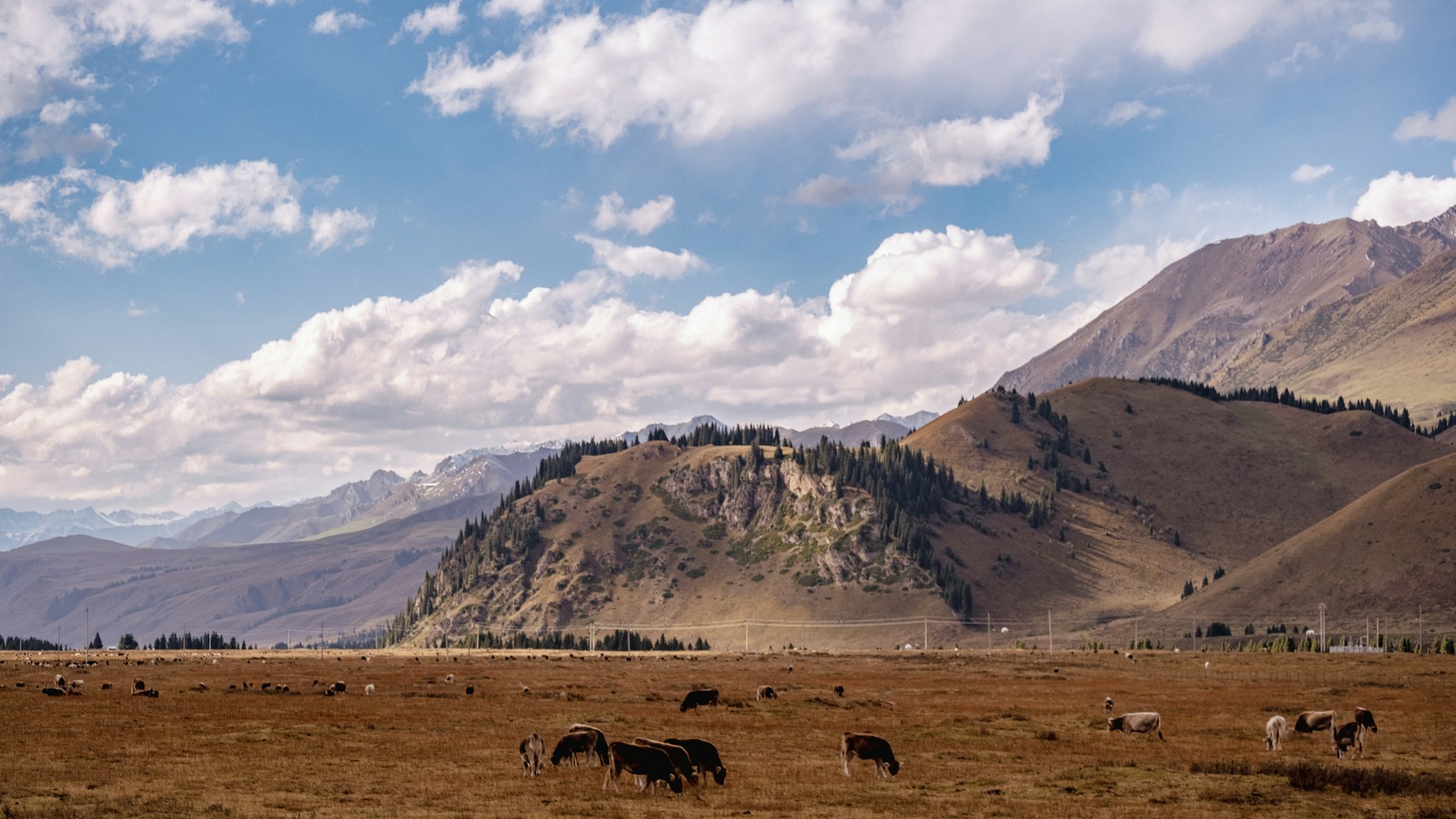 Explore the Untouched Wilderness of the Altai Mountains in Kazakhstan
